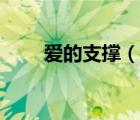愛的支撐（說一說愛的支撐的簡介）