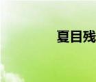 夏目殘夏發(fā)型（夏目殘夏）