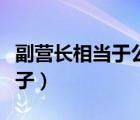 副營長相當于公務員什么級別（郝副營長的樣子）