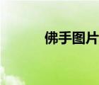 佛手圖片（佛手的功效與作用）