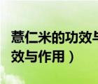 薏仁米的功效與作用及食用方法（薏仁水的功效與作用）