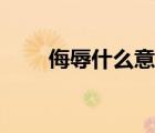 侮辱什么意思解釋（侮辱什么意思）