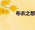 布衣之怒血濺五步（布衣之怒）