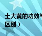 土大黃的功效與作用及禁忌（土大黃與大黃的區(qū)別）