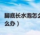 腳底長水泡怎么辦用什么方法（腳底長水泡怎么辦）