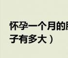 懷孕一個月的肚子有多大圖片（懷孕3個月肚子有多大）
