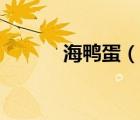 海鴨蛋（說一說海鴨蛋的簡介）