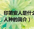 印第安人是什么人種（說一說印第安人是什么人種的簡介）