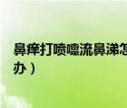 鼻癢打噴嚏流鼻涕怎么辦吃什么藥（鼻癢打噴嚏流鼻涕怎么辦）