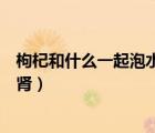 枸杞和什么一起泡水喝補(bǔ)腎補(bǔ)血（枸杞和什么一起泡水喝補(bǔ)腎）