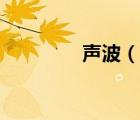 聲波（說一說聲波的簡介）