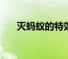 滅螞蟻的特效藥（滅螞蟻什么藥最好）
