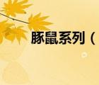 豚鼠系列（說一說豚鼠系列的簡介）