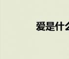 愛是什么（愛的意義是什么）