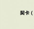 契卡（說一說契卡的簡介）