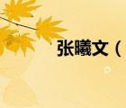 張曦文（說一說張曦文的簡介）