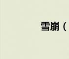 雪崩（說一說雪崩的簡介）