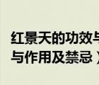 紅景天的功效與作用及禁忌癥（紅景天的功效與作用及禁忌）