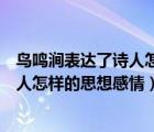 鳥鳴澗表達了詩人怎樣的思想感情一個字（鳥鳴澗表達了詩人怎樣的思想感情）