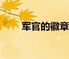 軍官的徽章怎么區(qū)別（軍官的徽章）