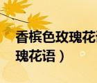 香檳色玫瑰花語是什么意思 寓意（香檳色玫瑰花語）