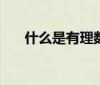 什么是有理數(shù)無理數(shù)（什么是有理數(shù)）
