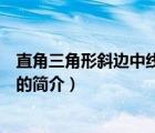 直角三角形斜邊中線定理（說一說直角三角形斜邊中線定理的簡介）