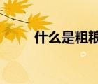 什么是粗糧?（什么是粗糧類食物）
