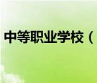 中等職業(yè)學(xué)校（說一說中等職業(yè)學(xué)校的簡介）