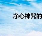 凈心神咒的意思是什么（凈心神咒）