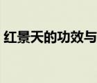 紅景天的功效與用法（紅景天的功效與禁忌）