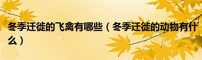 冬季遷徙的飛禽有哪些（冬季遷徙的動(dòng)物有什么）