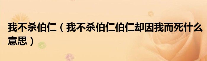我不殺伯仁（我不殺伯仁伯仁卻因我而死什么意思）