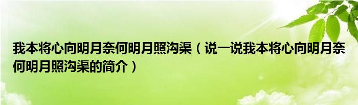 我本將心向明月奈何明月照溝渠（說一說我本將心向明月奈何明月照溝渠的簡介）
