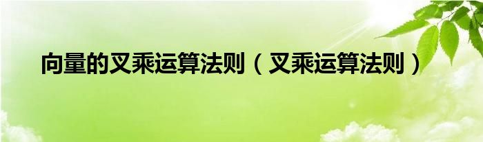 向量的叉乘運算法則（叉乘運算法則）