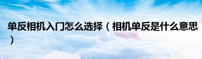單反相機(jī)入門怎么選擇（相機(jī)單反是什么意思）