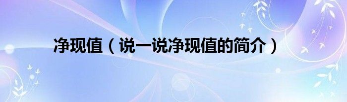 凈現(xiàn)值（說一說凈現(xiàn)值的簡介）