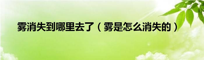 霧消失到哪里去了（霧是怎么消失的）