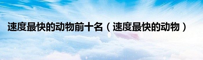 速度最快的動(dòng)物前十名（速度最快的動(dòng)物）