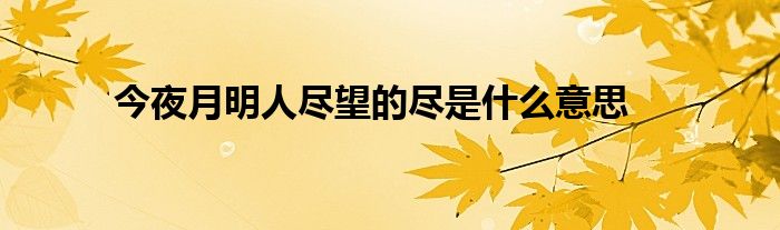 今夜月明人盡望的盡是什么意思