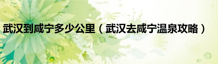 武漢到咸寧多少公里（武漢去咸寧溫泉攻略）