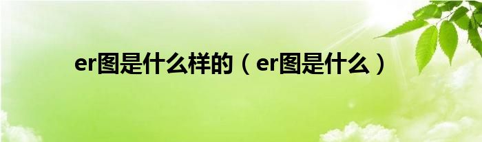 er圖是什么樣的（er圖是什么）