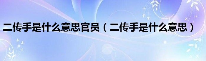 二傳手是什么意思官員（二傳手是什么意思）
