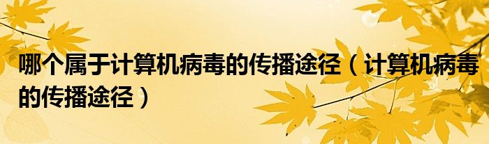 哪個(gè)屬于計(jì)算機(jī)病毒的傳播途徑（計(jì)算機(jī)病毒的傳播途徑）