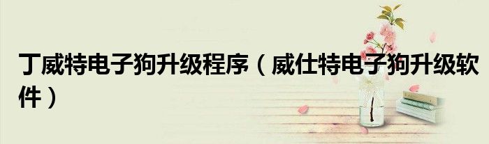丁威特電子狗升級程序（威仕特電子狗升級軟件）