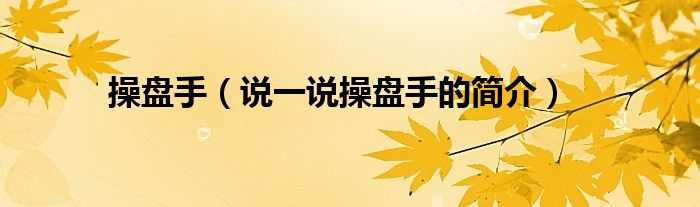 操盤手（說一說操盤手的簡介）