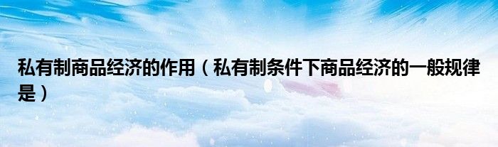 私有制商品經(jīng)濟(jì)的作用（私有制條件下商品經(jīng)濟(jì)的一般規(guī)律是）