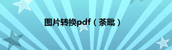 圖片轉(zhuǎn)換pdf（荼毗）