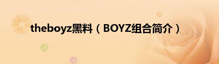 theboyz黑料（BOYZ組合簡介）