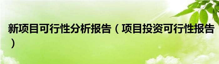 新項(xiàng)目可行性分析報(bào)告（項(xiàng)目投資可行性報(bào)告）